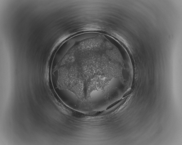 X0000113571179200909181241