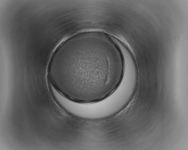 X0000113571181200909181241
