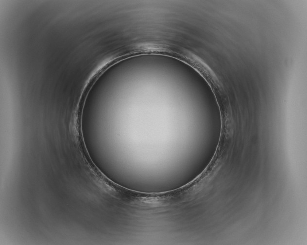 X0000113571182200909181241