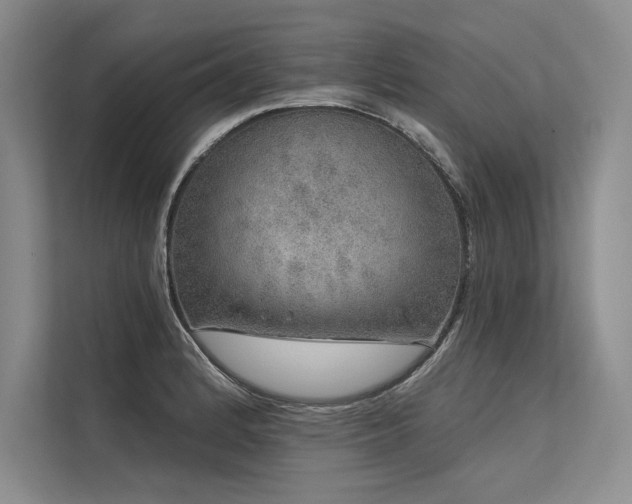 X0000113571184200909181241