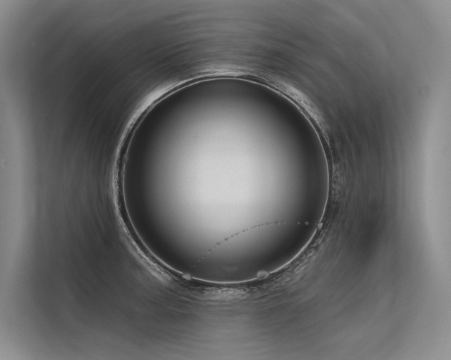 X0000113571187200909181241