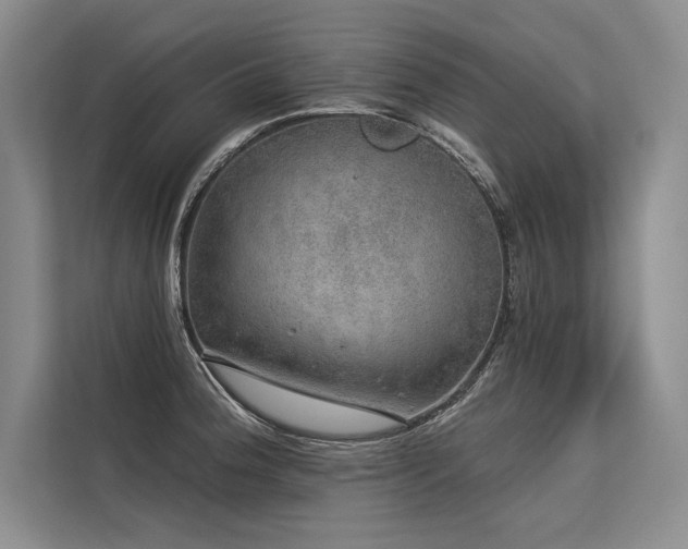 X0000113571188200909181241