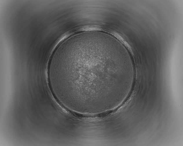X0000113571189200909181241