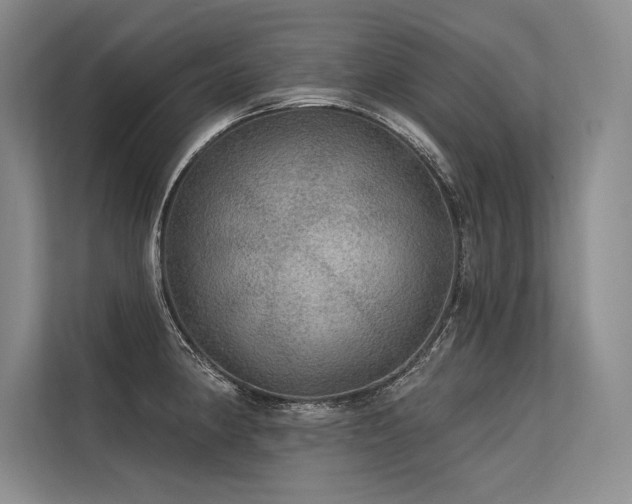 X0000113571190200909181241