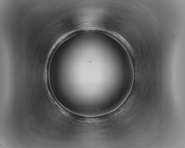 X0000113571191200909181241