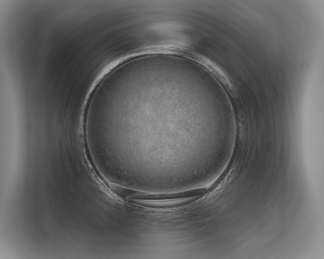 X0000113571192200909181241