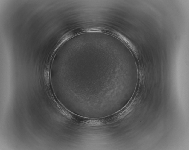 X0000113571194200909181241