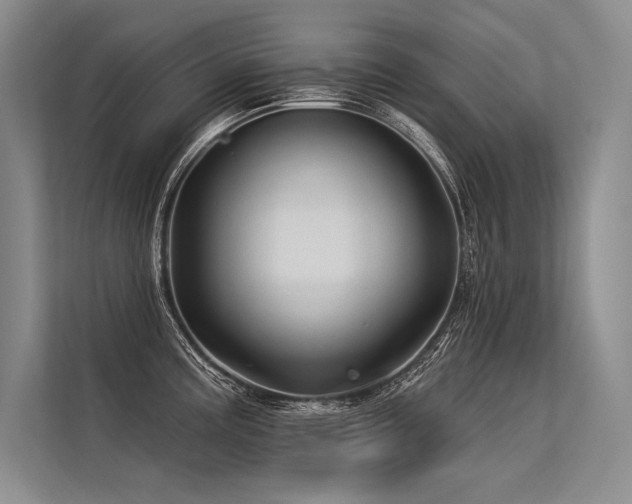 X0000113571195200909181241