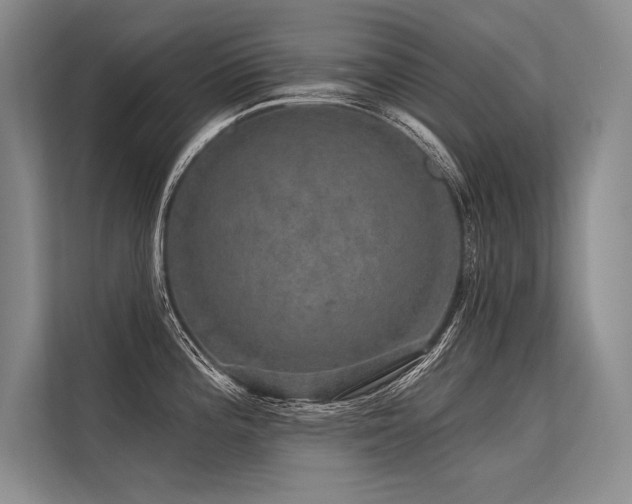 X0000113571196200909181241