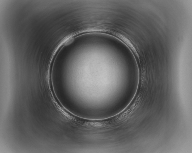 X0000113571197200909181241