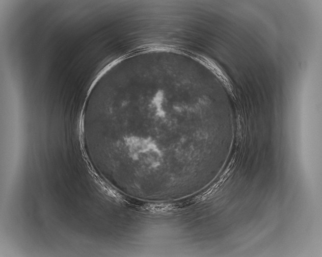 X0000113571198200909181241