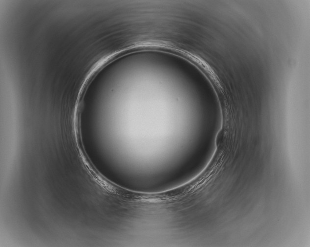 X0000113571199200909181241