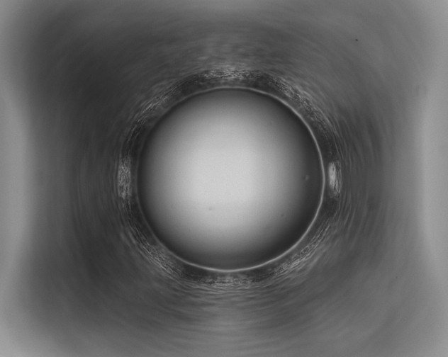 X0000113571203200909181240