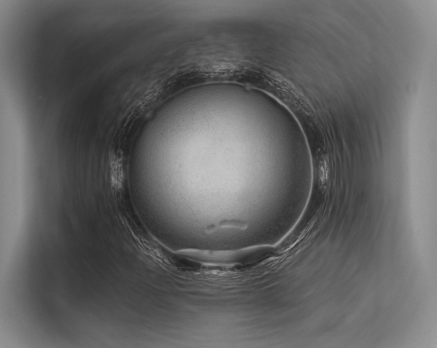 X0000113571204200909181240
