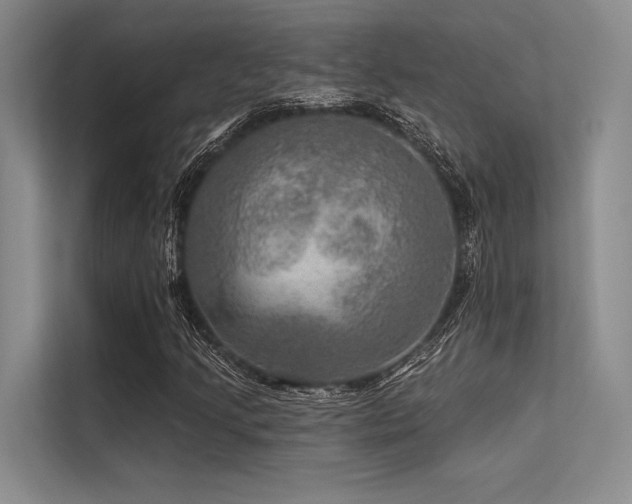 X0000113571205200909181240