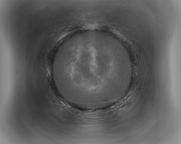 X0000113571206200909181240
