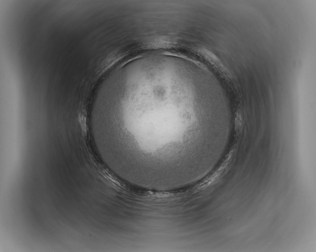 X0000113571209200909181240
