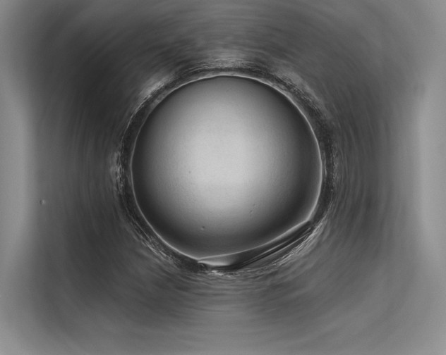X0000113571210200909181240