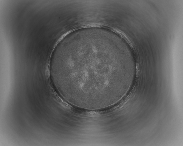 X0000113571212200909181240