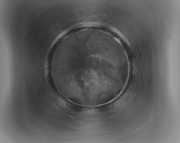 X0000113571213200909181240