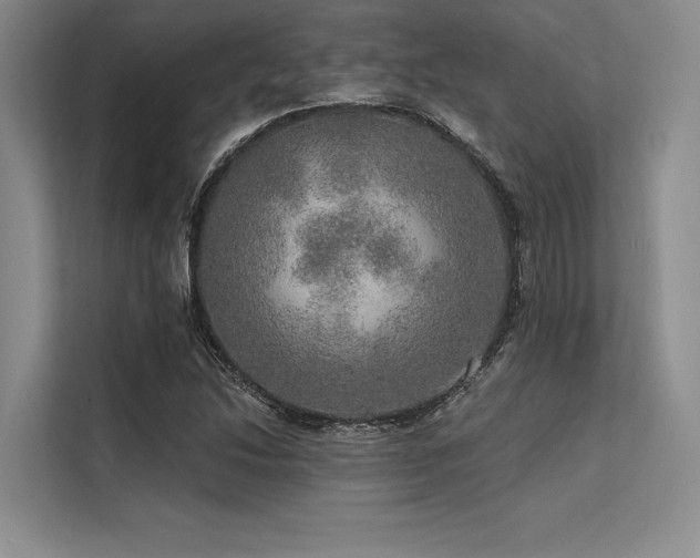 X0000113571214200909181240