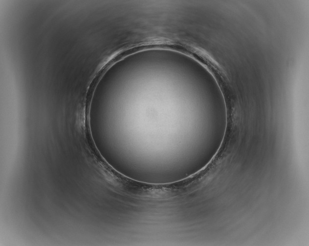 X0000113571220200909181240