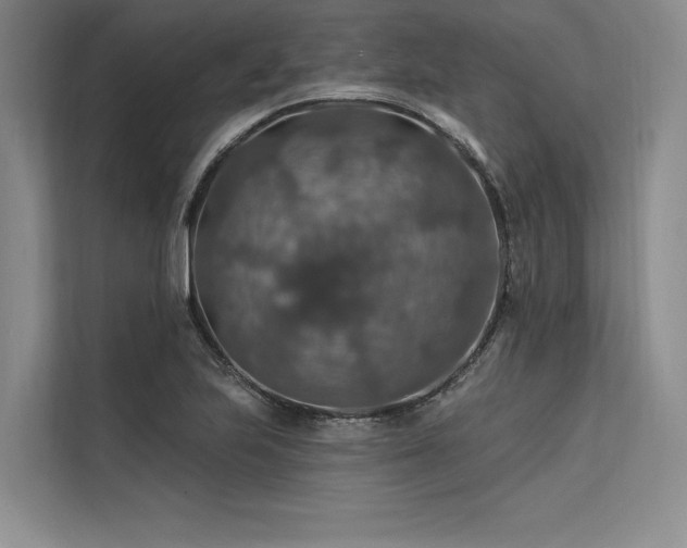 X0000113571223200909181240