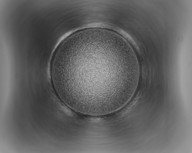 X0000113571230200909181240
