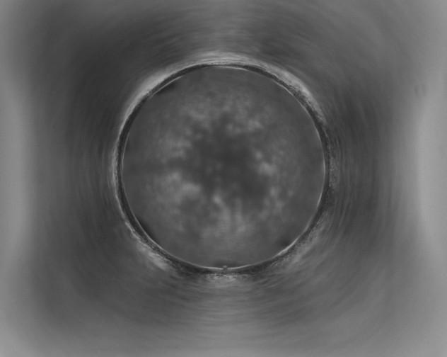 X0000113571231200909181240