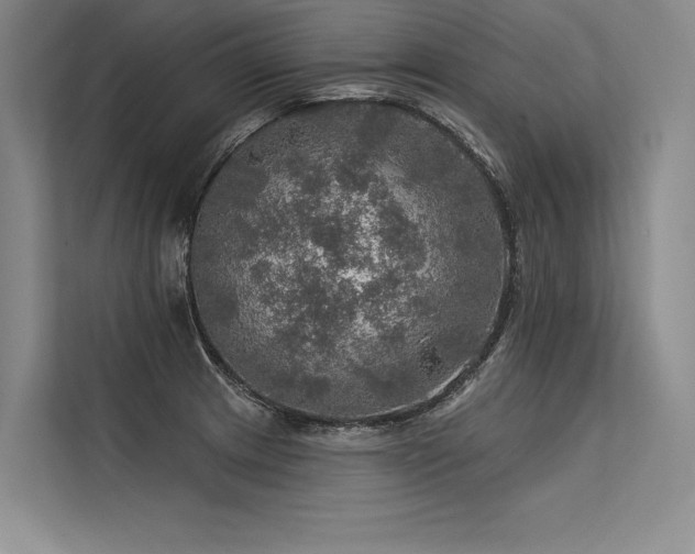 X0000113571233200909181241
