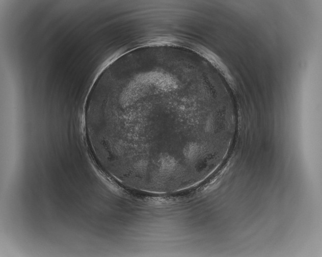 X0000113571234200909181241