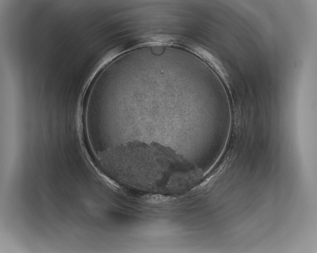 X0000113571235200909181241