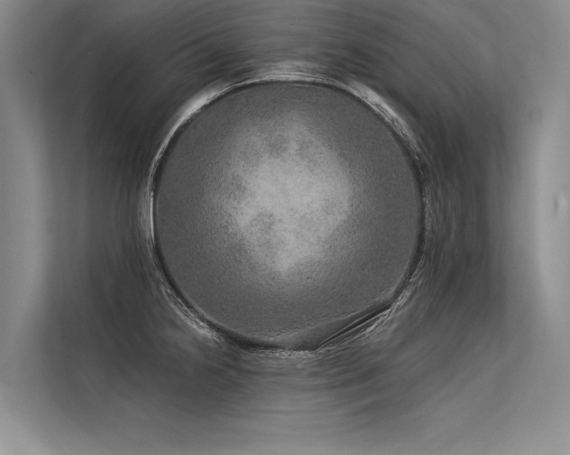 X0000113571238200909181241