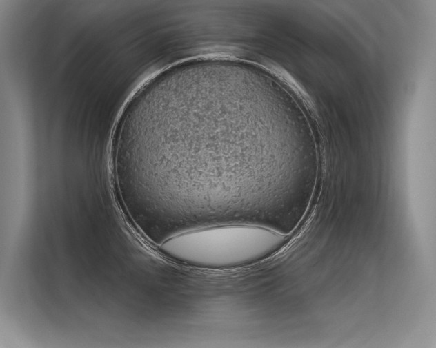 X0000113571240200909181241