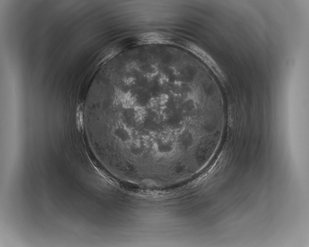 X0000113571241200909181241