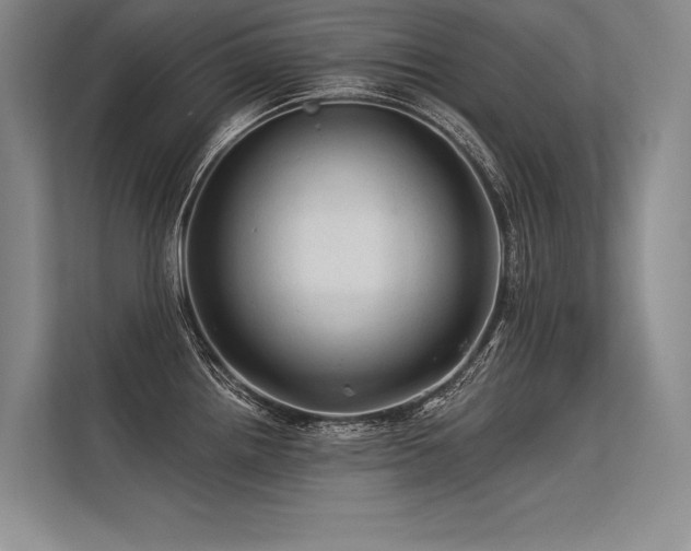 X0000113571242200909181241