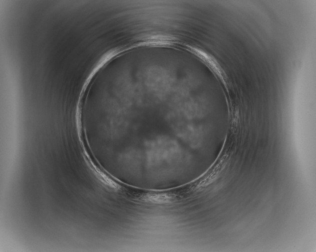 X0000113571243200909181241