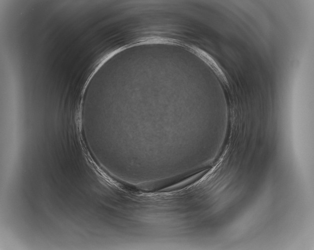 X0000113571244200909181241