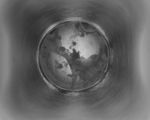 X0000113571245200909181241