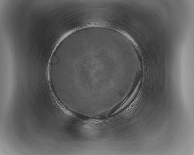 X0000113571246200909181241