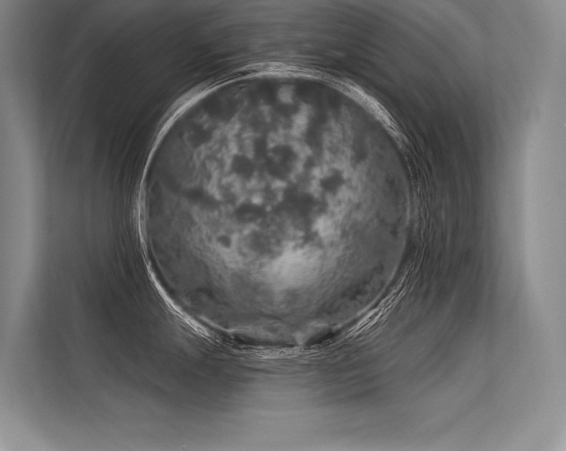 X0000113571247200909181241