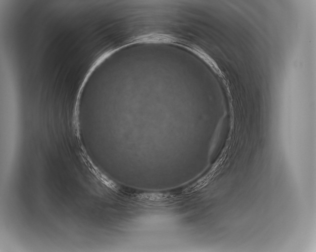 X0000113571248200909181241