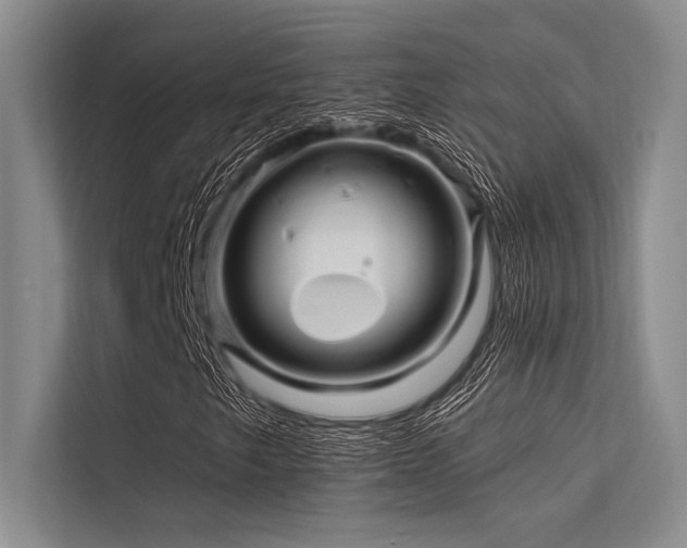 X0000113571249200909181240