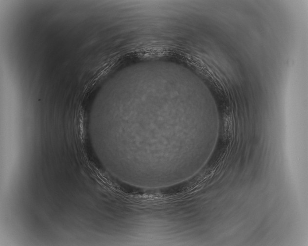 X0000113571250200909181240
