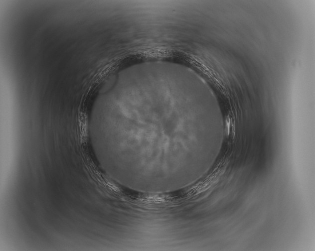 X0000113571251200909181240