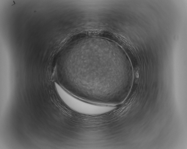 X0000113571252200909181240