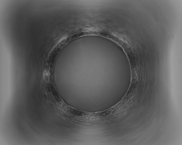 X0000113571254200909181240