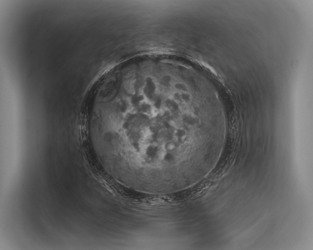 X0000113571255200909181240
