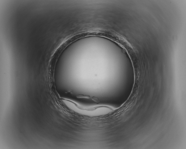 X0000113571256200909181240