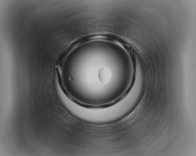 X0000113571257200909181240